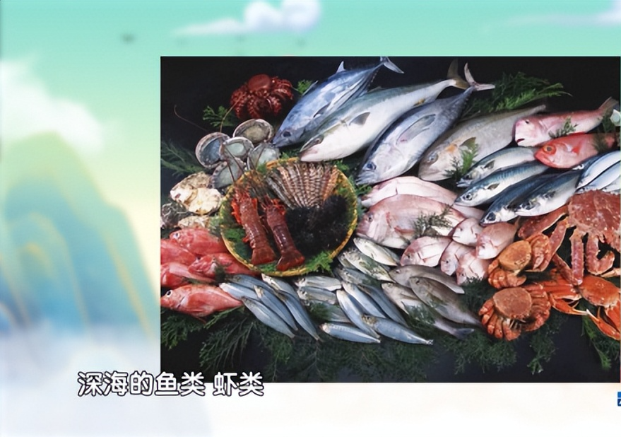 什么食物能补硒（可以补充硒的食物）-硒宝网