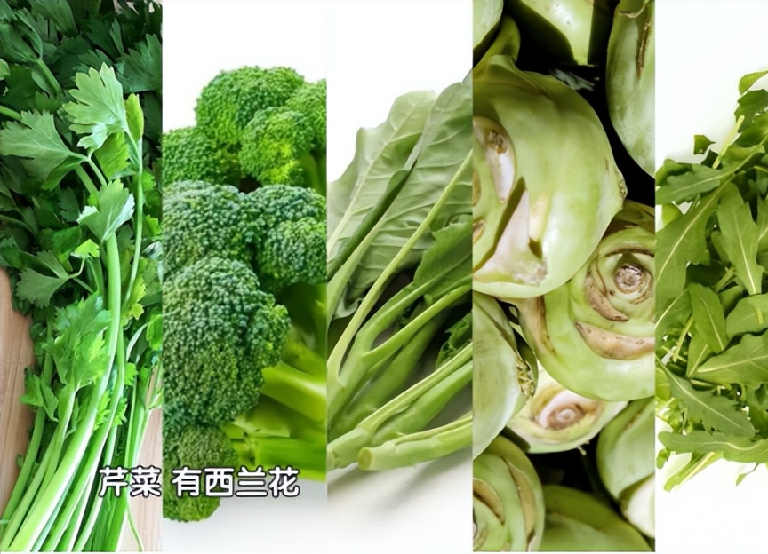 什么食物能补硒（可以补充硒的食物）-硒宝网