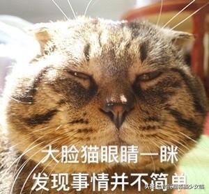 微量元素是什么怎么补(补微量元素是什么)-硒宝网