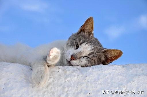 微量元素是什么怎么补(补微量元素是什么)-硒宝网