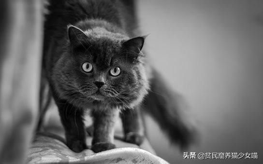 微量元素是什么怎么补(补微量元素是什么)-硒宝网