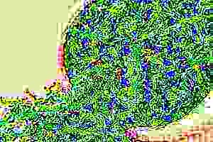 高山富硒茶功效（高山富硒茶属于什么茶）-硒宝网