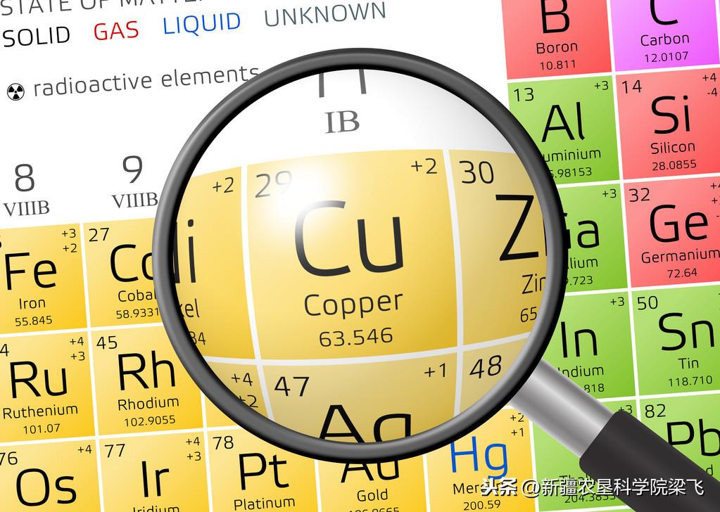 微量元素是什么怎么补(微量补元素是补什么的)-硒宝网