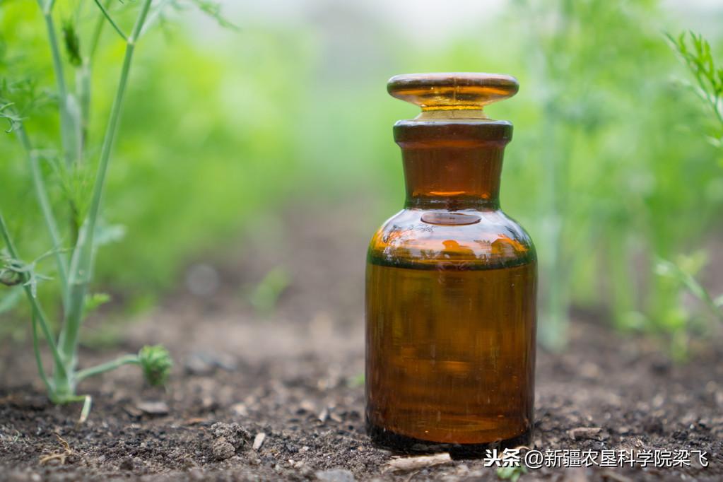 微量元素是什么怎么补(微量补元素是补什么的)-硒宝网