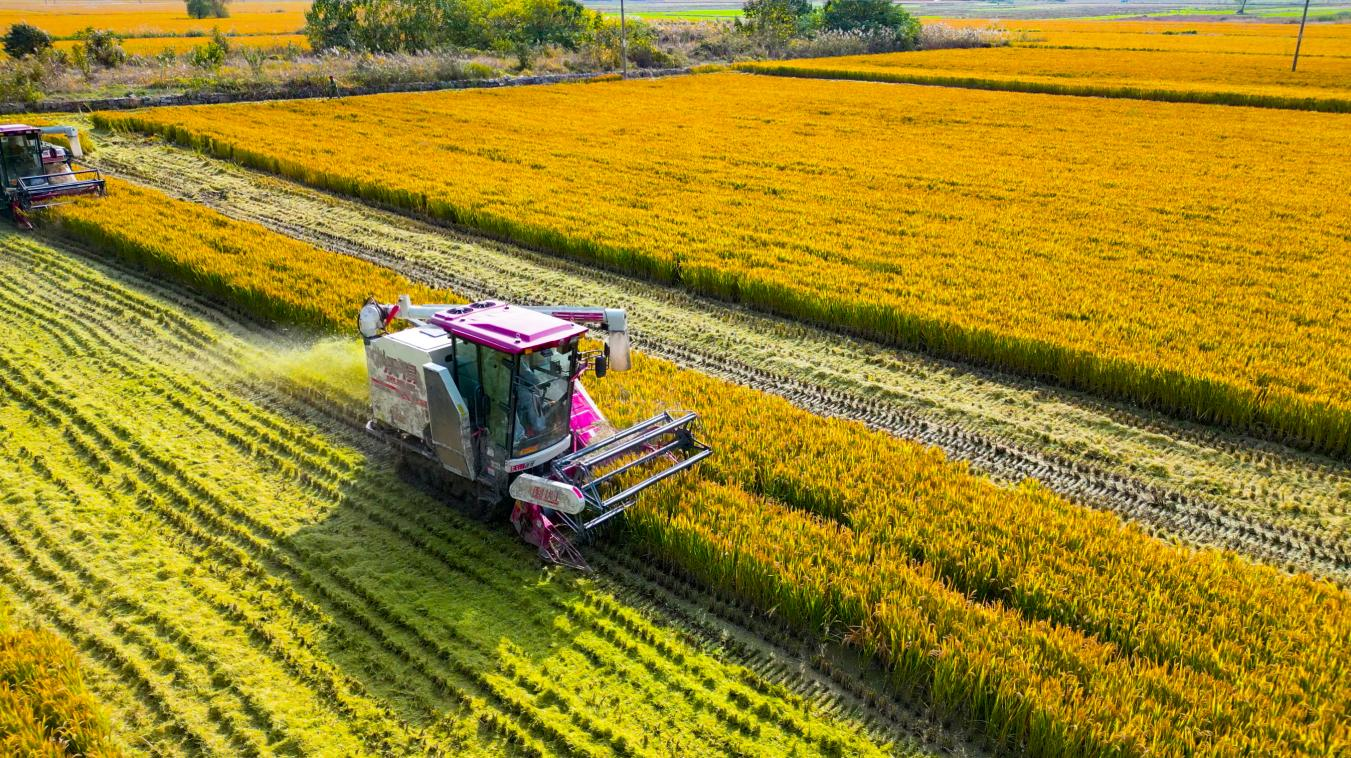 山东富硒农产品（山东富硒农产品网通知公告）-硒宝网