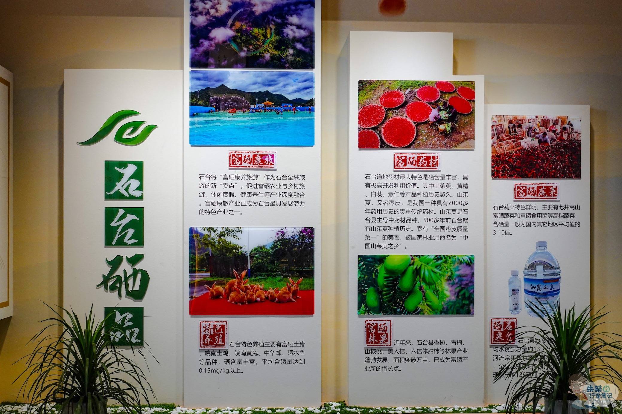 石台富硒野生茶(石台县野生硒茶)-硒宝网