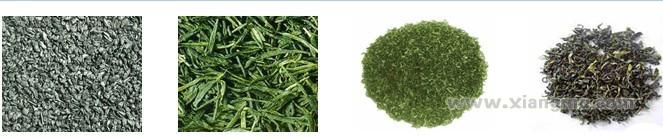 富硒茶代理加盟(代理茶加盟富硒茶多少钱)-硒宝网