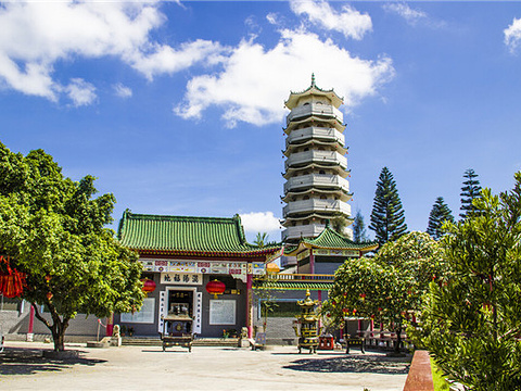 仙寓山 富硒茶（仙寓山富硒村）-硒宝网