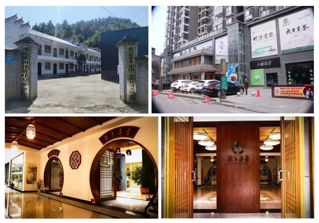 天然富硒黄酮茶(含硒和黄酮的茶叶)-硒宝网