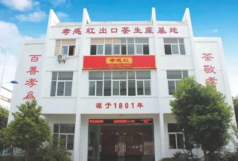 天然富硒黄酮茶(含硒和黄酮的茶叶)-硒宝网