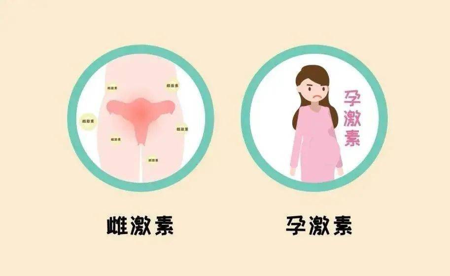 女生补锌会增加雌性激素吗(女性补锌对雌激素有帮助吗)-硒宝网