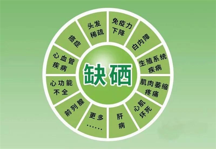 吃什么补硒元素(补充硒元素的好处)-硒宝网