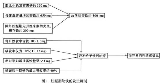 孕妇补铁食谱大全（孕妇补铁的家常菜食谱）-硒宝网