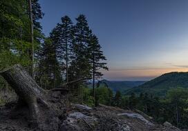 哺乳期需要补铁吗(哺乳期补铁需要补多久)-硒宝网