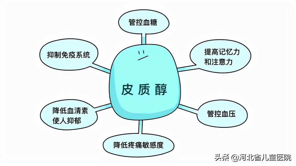 查微量元素要空腹吗(空腹查微量元素要抽血吗)-硒宝网