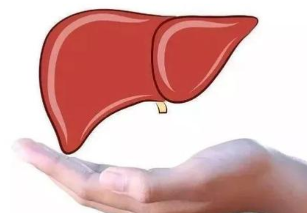 补硒能吃韭菜吗(韭菜可以补充维生素吗)-硒宝网