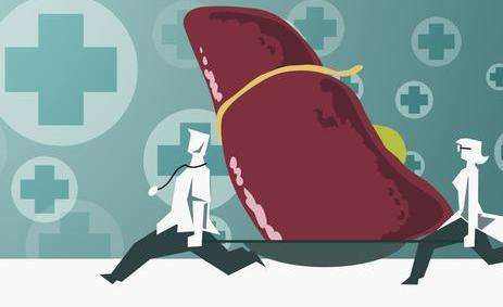 补硒能吃韭菜吗(韭菜可以补充维生素吗)-硒宝网