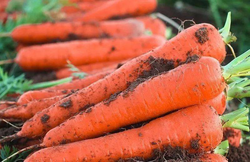 孕妇要补硒论文（孕期补硒）-硒宝网