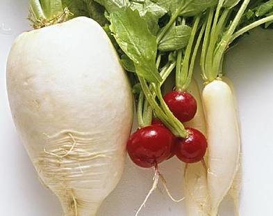 孕妇要补硒论文（孕期补硒）-硒宝网