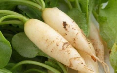 孕妇要补硒论文（孕期补硒）-硒宝网