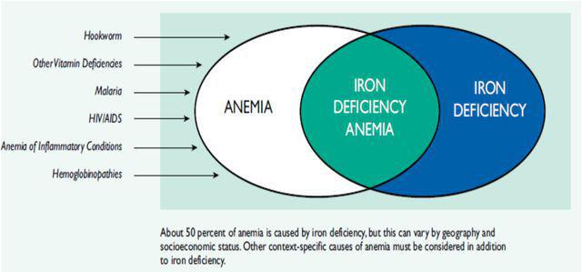 孕期什么时候补铁（怀孕期间补铁）-硒宝网