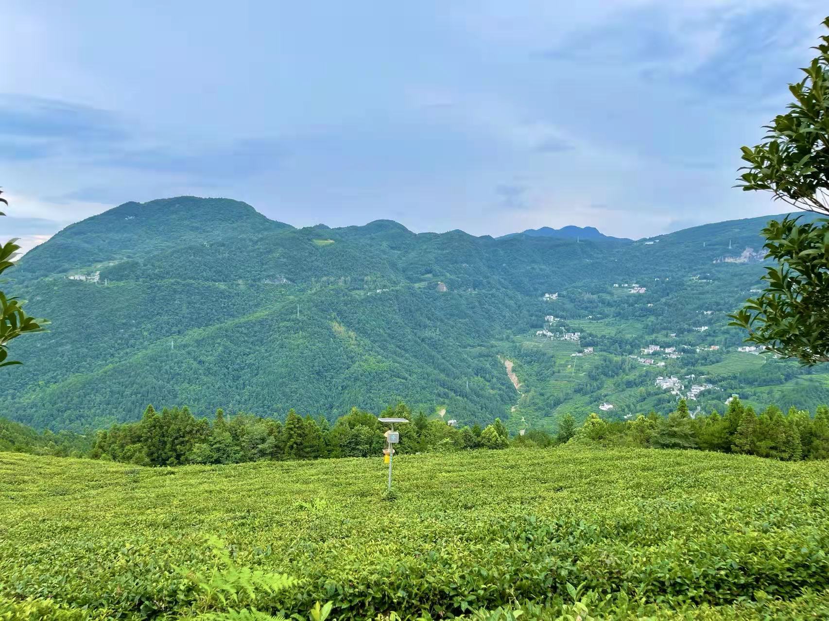 恩施也需要补硒(恩施的硒片好不好)-硒宝网