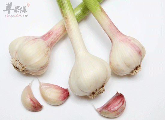 最好的补硒食物（补硒食物排行榜8强）-硒宝网