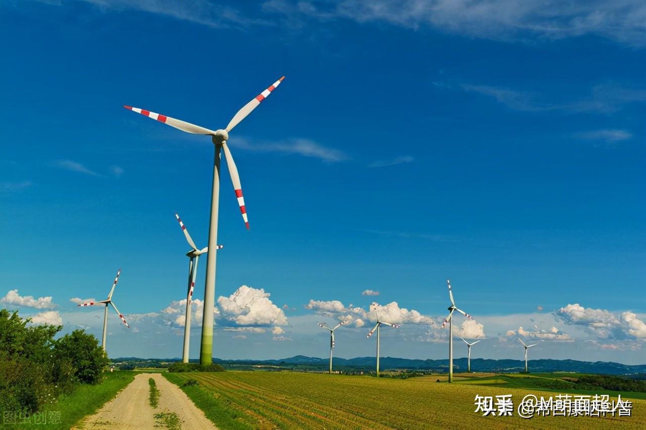 国产最好的补硒（国产硒片哪个牌子好）-硒宝网