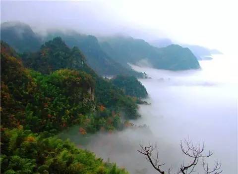 世界科学补硒日（科学补硒有哪十大好处）-硒宝网