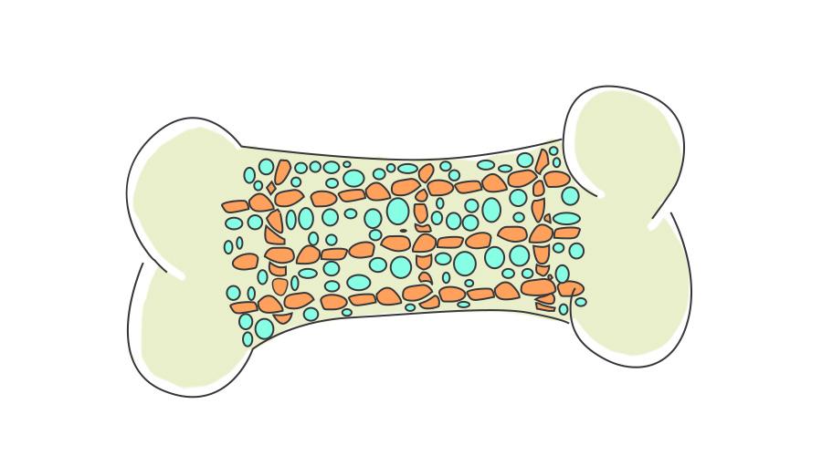 20岁补钙还能长高吗（长高补钙还能长多高）-硒宝网