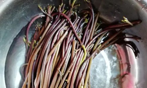 补硒可以祛火吗(补硒能去身体里面的湿气吗)-硒宝网