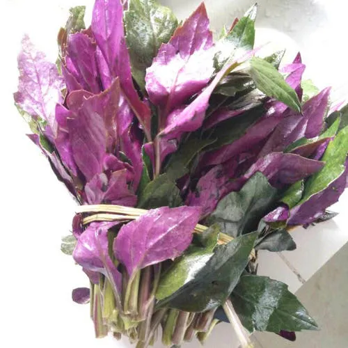 补硒可以祛火吗(补硒能去身体里面的湿气吗)-硒宝网