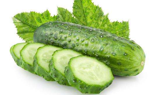 猫咪补钙吃什么好(猫补钙要吃什么)-硒宝网