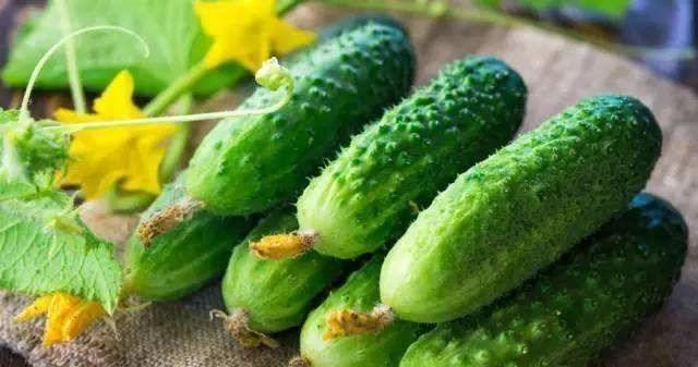 猫咪补钙吃什么好(猫补钙要吃什么)-硒宝网