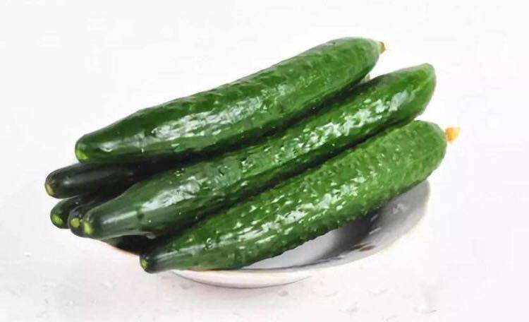 猫咪补钙吃什么好(猫补钙要吃什么)-硒宝网