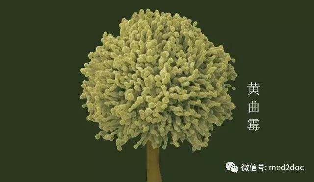 补硒天天都吃吗(补硒天天都吃吗)-硒宝网