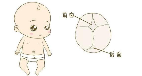 ad补钙吗（补钙ad是什么意思）-硒宝网