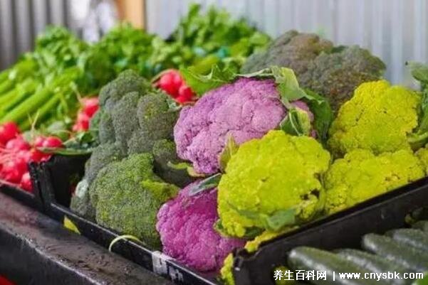 鸡肉补铁吗（鸡肉补血）-硒宝网