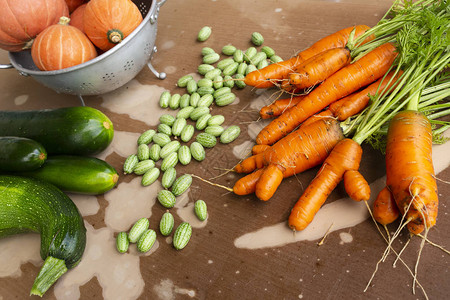 吃什么可以补锌最快（补锌期间可不可以喝酒）-硒宝网