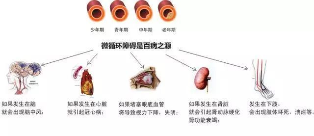 补硒应选有机硒(补硒产品怎么选择)-硒宝网