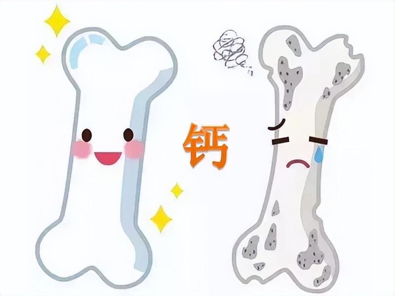 老年人补钙吃哪种钙片好（老年吃钙片好吗）-硒宝网