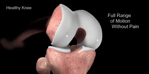 氨糖软骨素补钙吗（软骨素氨糖钙胶囊的功效）-硒宝网