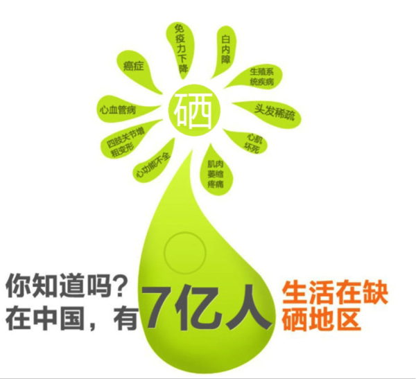 麦芽硒补硒速度（补硒麦芽有用吗）-硒宝网