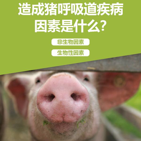 母猪补硒补多了(母猪缺硒对仔猪影响)-硒宝网