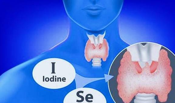 桥本补硒补多少(桥本氏病补硒)-硒宝网