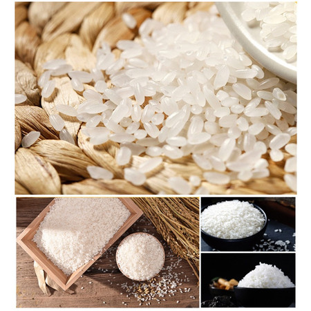 母猪补硒怎么补（母猪补硒的好处）-硒宝网