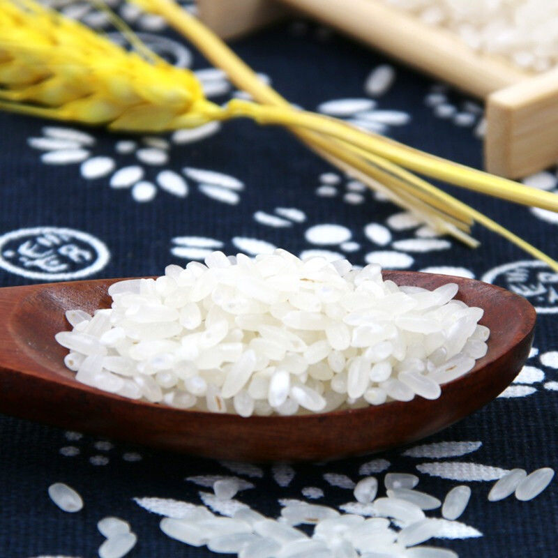 母猪补硒怎么补（母猪补硒的好处）-硒宝网