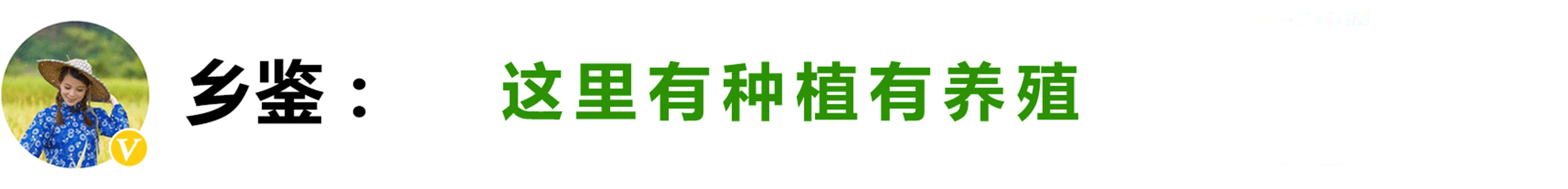 硒怎样补硒元素(硒元素对人体的作用吃什么补)-硒宝网