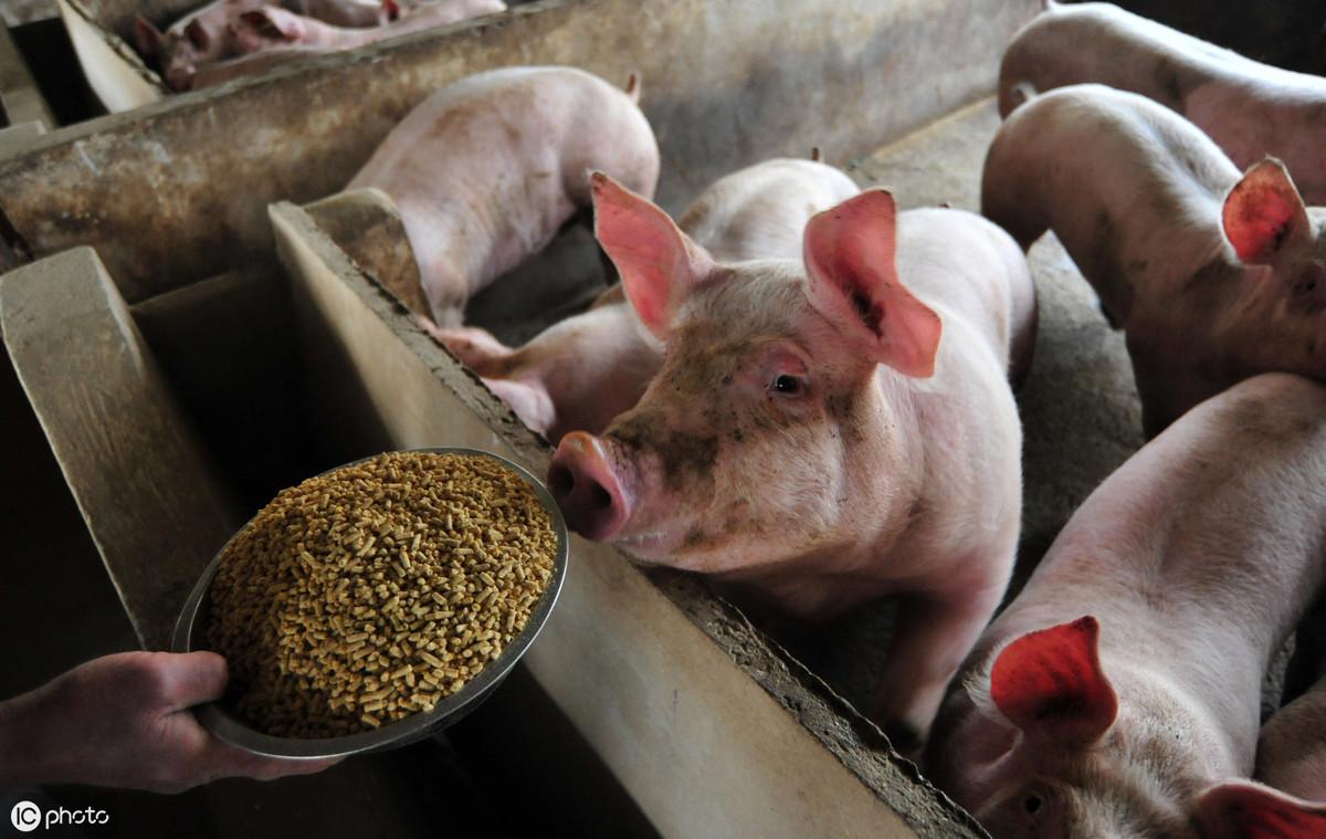 硒怎样补硒元素(硒元素对人体的作用吃什么补)-硒宝网