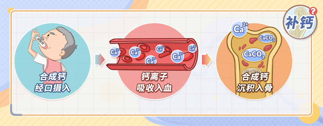 补钙的新知识（补钙知识科普）-硒宝网